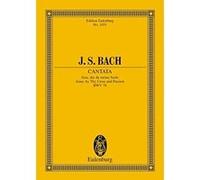 Cantata 78 Jesu Der Du Meine