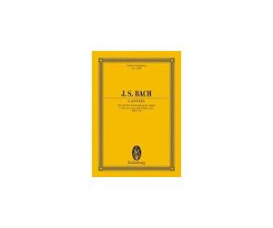 Cantata N. 56 / Conducteur De Poche