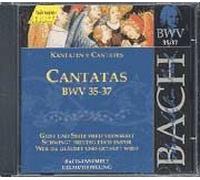 Cantates Rilling Vol. 12 : Bwv 35 & 37 Auger, Sop.