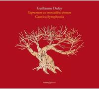 Cantica Symphonia - Supremum Est Mortalibus B