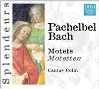 Cantus Cölln - Pachelbel / Bach - Motets (Coll. Splendeurs)