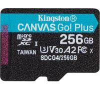 Canvas Go Plus Microsdxc Memory Card Gen4 200Mb/S A2 U3 V30 256Gb Single Pack W/O Adp Card Only-Sdcg4/256Gbsp