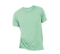 Canvas - T-shirt à manches courtes - Homme (L - 107/114cm) (Vert menthe)