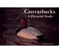 Canvasbacks
