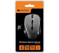 Canyon - CNE-CMSW1G - Souris sans fil Gris