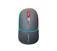 Canyon MW-22 Souris Universelle Ambidextre RF sans fil + Bluetooth Optique 1600 DPI