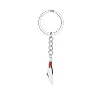 CAOXIAN Palestine Carte Drapeau Porte-clés Support Palestine Porte-clés pour la Maison Clés Voiture Bijoux Souvenir Cadeau pour Hommes Femmes Couple, multicolore, M