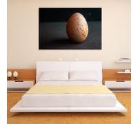 CAOXTART Affiche sur toile « Œufs » : Peinture minimaliste sur toile, décoration murale pour la cuisine, œuvre d’art décorative de style campagnard (80 x 120 cm/cadre intérieur)