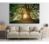 CAOXTART Affiche sur toile « Vieux chêne au soleil » : art mural moderne, tableau d'arbre pour salon, décoration murale (50 x 70 cm/cadre intérieur)