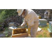 Cap Adrénaline Activités de découverte de l'apiculture au cœur des Asturies en Espagne