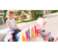 Cap Adrénaline Anniversaire dans un centre équestre et balade à poney près de Meaux