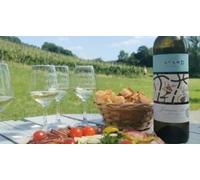 Cap Adrénaline Atelier accord mets et vins à Monein dans un domaine viticole près de Pau