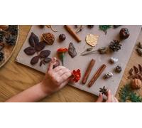 Cap Adrénaline Atelier création d'un herbier urbain à Lyon