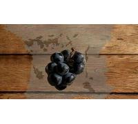 Cap Adrénaline Atelier d'anologie et dégustation de vins à Aix-en-Provence