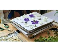 Cap Adrénaline Atelier de création d'un herbier encadré à Noyal-Châtillon-sur-Seiche près de Rennes