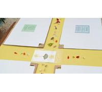 Cap Adrénaline Atelier de création d'un Herbier près de Toulon