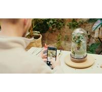 Cap Adrénaline Atelier de création d'un terrarium à Moirans près de Grenoble