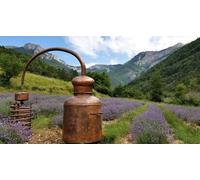 Cap Adrénaline Atelier de distillation au sein d'une distillerie de lavande - Massif du Vercors