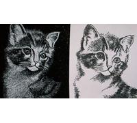 Cap Adrénaline Atelier de gravure près de Chartres