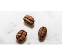 Cap Adrénaline Atelier de torréfaction accompagnée de dégustation à Paris 6ème