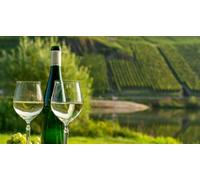 Cap Adrénaline Atelier dégustation de vins alsaciens à Orbey près de Colmar