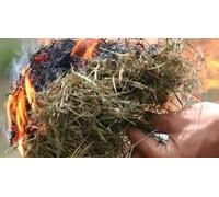 Cap Adrénaline Atelier d'initiation aux savoir-faire primitifs près de Saint-Germain-en-Laye