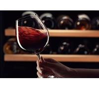 Cap Adrénaline Atelier d'œnologie et Dégustation de vins à Nantes