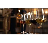 Cap Adrénaline Atelier d'œnologie et Dégustation de vins à Saumur