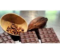 Cap Adrénaline Atelier fabrication de vos tablettes de chocolat bean to bar aux Lilas près de Paris