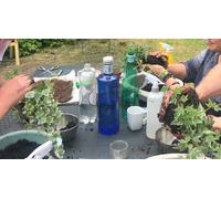 Cap Adrénaline Atelier Kokedama près de Lille