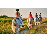 Cap Adrénaline Balade à cheval à Méoune-les-Montrieux