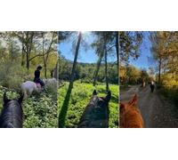 Cap Adrénaline Balade à cheval à Mimet près de Marseille