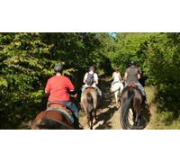 Cap Adrénaline Balade à cheval à Morey Saint Denis près de Dijon