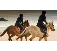 Cap Adrénaline Balade à Cheval à Plurien (22)