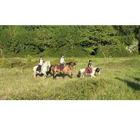 Cap Adrénaline Balade à cheval aux portes de Poitiers