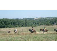 Cap Adrénaline Balade à cheval dans le vignoble Gaillacois