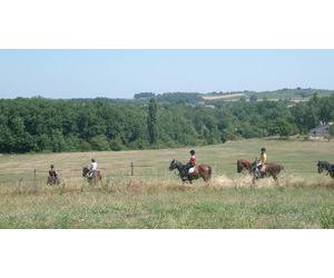Cap Adrénaline Balade à cheval dans le vignoble Gaillacois