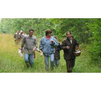 Cap Adrénaline Balade à la Decouverte des Champignons près de Nevers