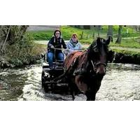 Cap Adrénaline Balade en calèche à Mentheville près de Fécamp