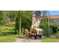 Cap Adrénaline Balade en calèche à Sainte-Hermine près de La Roche-sur-Yon