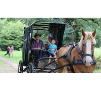 Cap Adrénaline Balade en calèche au marché près de Guingamp