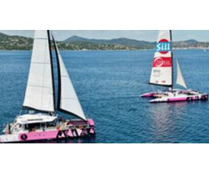 Cap Adrénaline Balade en catamaran dans la Baie de Concarneau