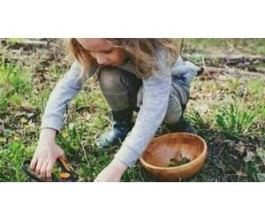 Cap Adrénaline Balade et découverte des plantes sauvages comestibles de la Coulée verte à Paris 12ème