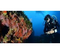 Cap Adrénaline Baptême de plongée à Belvedere-Campomoro