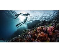 Cap Adrénaline Baptême de plongée dans le Var à Fréjus Saint Raphael