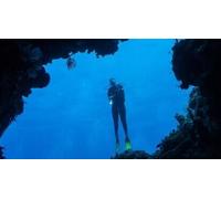 Cap Adrénaline Baptême de plongée en Grande Canarie - Espagne