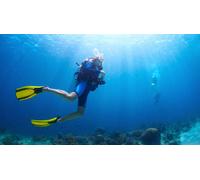 Cap Adrénaline Baptême ou formation de plongée près de Saint Tropez