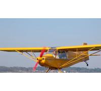 Cap Adrénaline Baptême ou Initiation au pilotage d'ULM Multiaxes près d'Auxerre