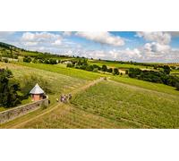 Cap Adrénaline Chasse au trésor dans un domaine viticole au cœur du Beaujolais