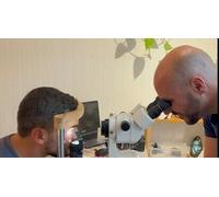 Cap Adrénaline Consultation de médecine traditionnelle chinoise à Charny sur marne